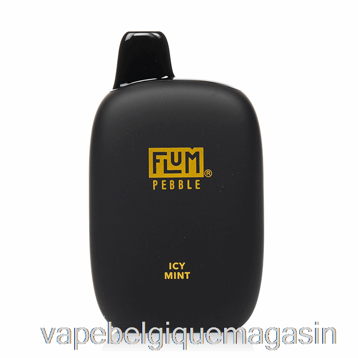 Vape Belgique Flum Pebble 6000 Menthe Glacée Jetable